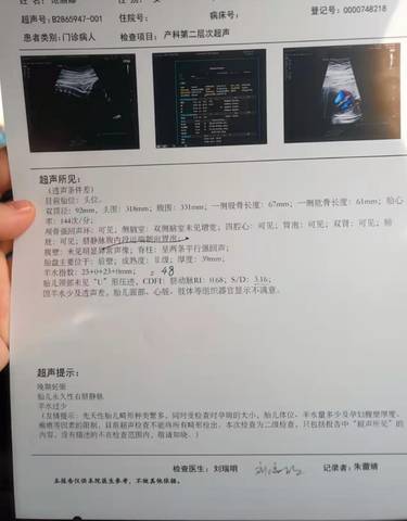 journal_insert_pic_1685679031