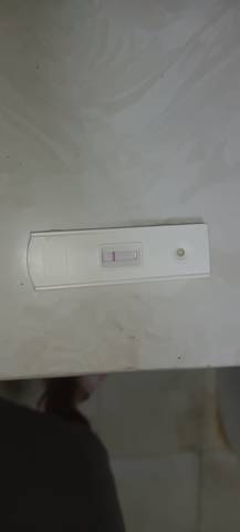 journal_insert_pic_1685088114