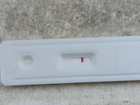 journal_insert_pic_1686321785