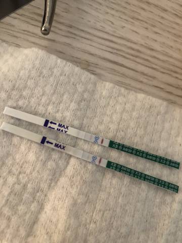 journal_insert_pic_1678952019