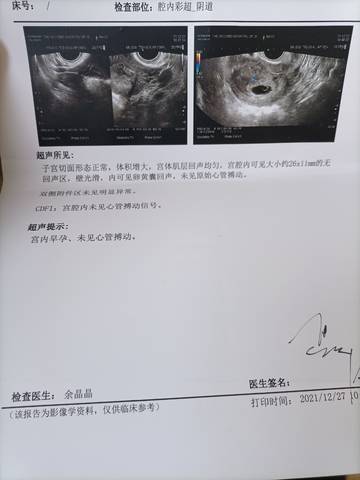 journal_insert_pic_1688358870