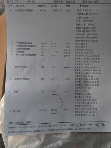 journal_insert_pic_1741010321