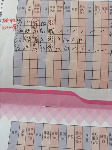 journal_insert_pic_1673418313