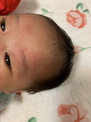 journal_insert_pic_1689658909