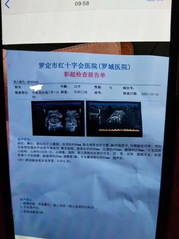 journal_insert_pic_1680123808