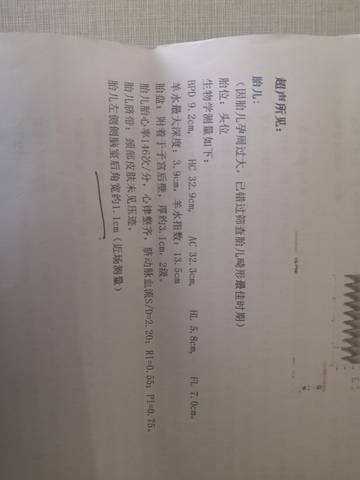 journal_insert_pic_1678656992