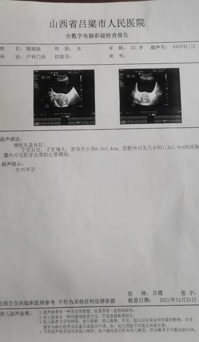 journal_insert_pic_1684219250