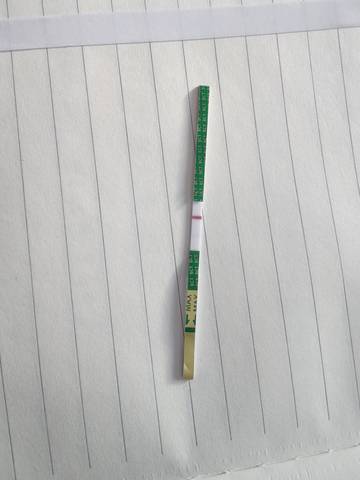journal_insert_pic_1684029797