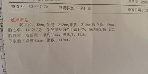 journal_insert_pic_1687152970