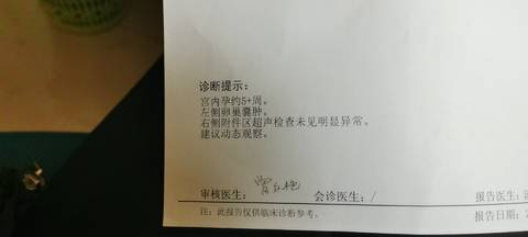 journal_insert_pic_1690355294