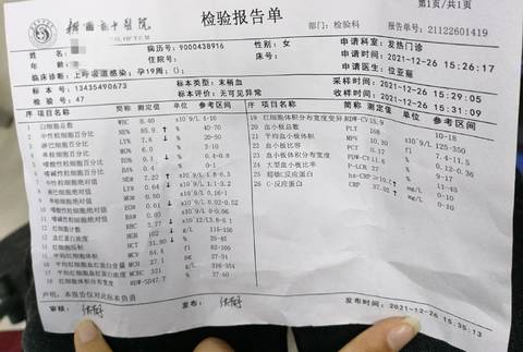 journal_insert_pic_1686580779