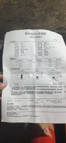 journal_insert_pic_1688771936