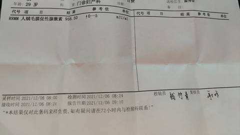 journal_insert_pic_1674668842