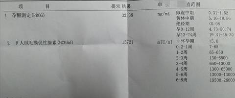 journal_insert_pic_1679825203