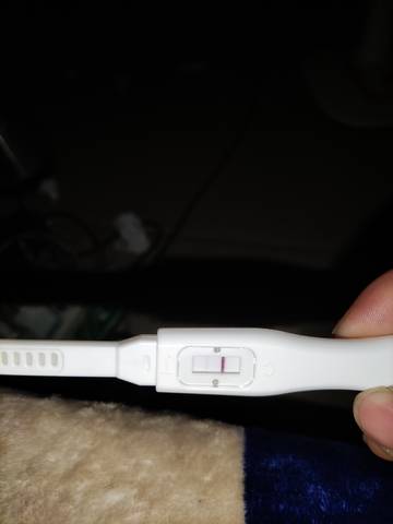 journal_insert_pic_1681295292