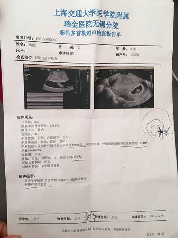 journal_insert_pic_1687184601