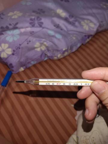 journal_insert_pic_1683948079