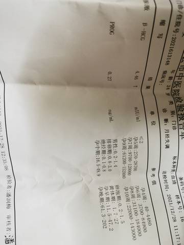 journal_insert_pic_1687841594