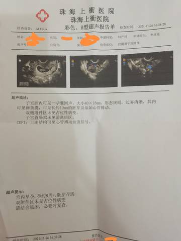 journal_insert_pic_1682340361