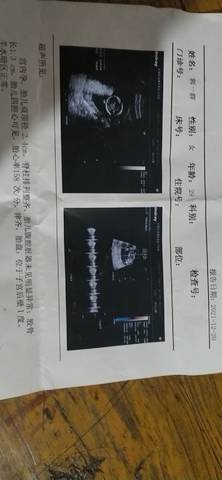 journal_insert_pic_1683836541