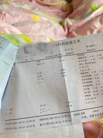 journal_insert_pic_1677422699