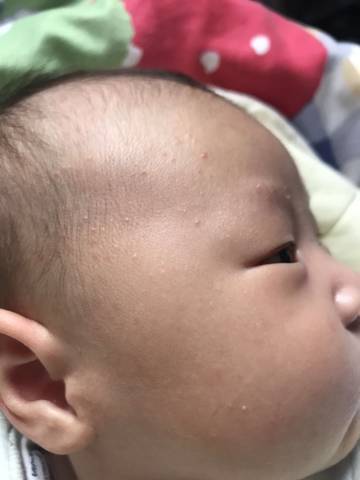 journal_insert_pic_1676691959