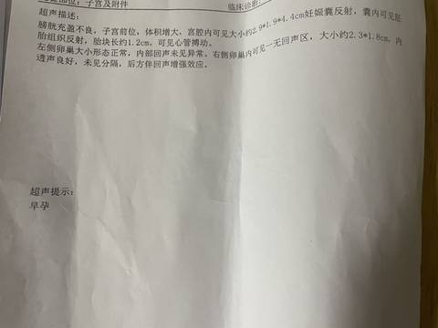 journal_insert_pic_1689695902