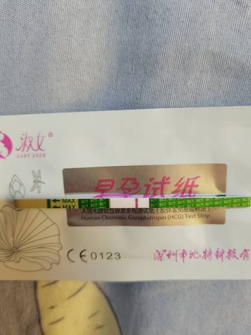 journal_insert_pic_1685913847