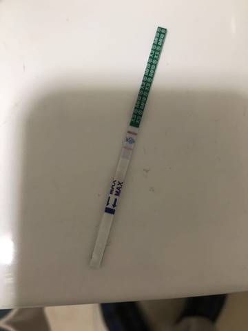 journal_insert_pic_1686901728