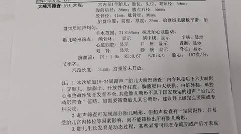 journal_insert_pic_1689598422