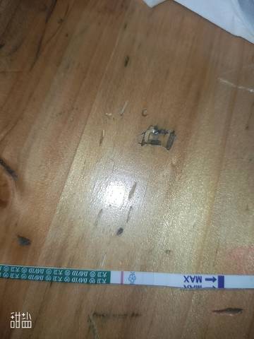 journal_insert_pic_1677510269