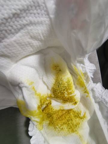 journal_insert_pic_1678092661