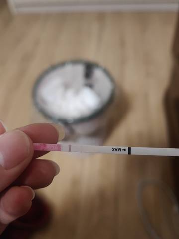 journal_insert_pic_1719659898