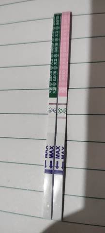 journal_insert_pic_1675560265