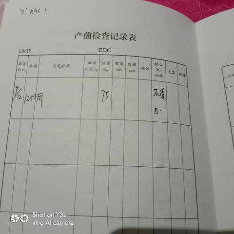 journal_insert_pic_1679233279