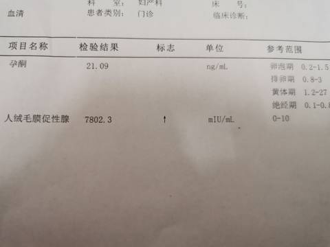 journal_insert_pic_1676903715