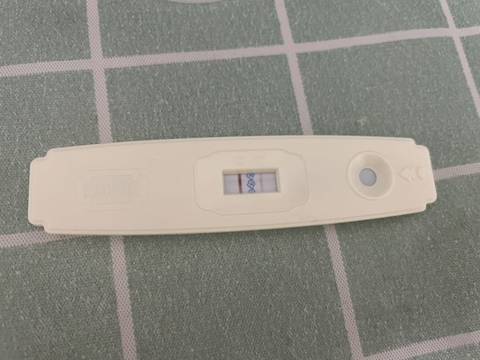 journal_insert_pic_1687932455