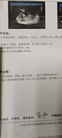 journal_insert_pic_1676211422