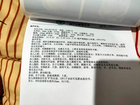 journal_insert_pic_1682357857