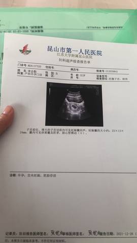 journal_insert_pic_1689153741