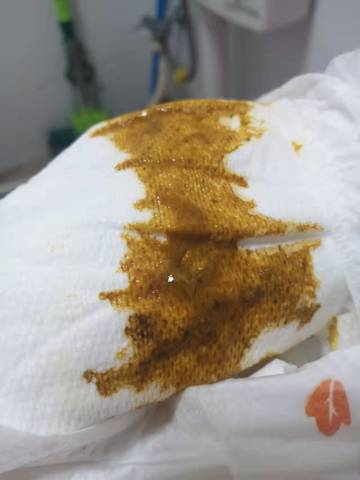 journal_insert_pic_1673145237