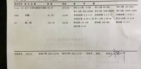 journal_insert_pic_1675404084