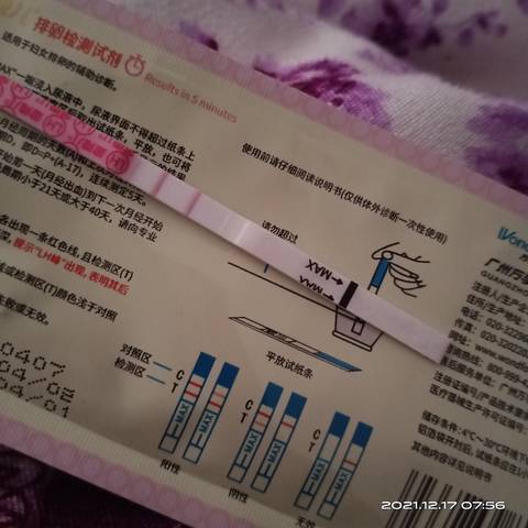 journal_insert_pic_1681799816