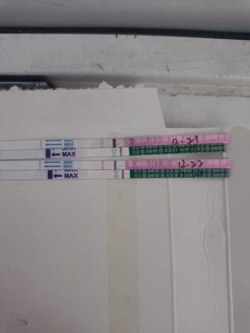 journal_insert_pic_1684193706