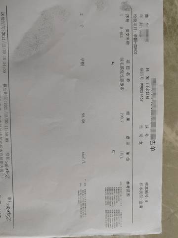 journal_insert_pic_1687302633