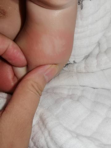 journal_insert_pic_1674571292