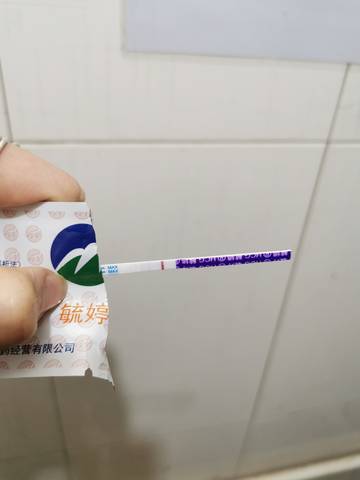 journal_insert_pic_1689145046