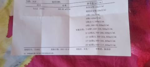 journal_insert_pic_1674123032