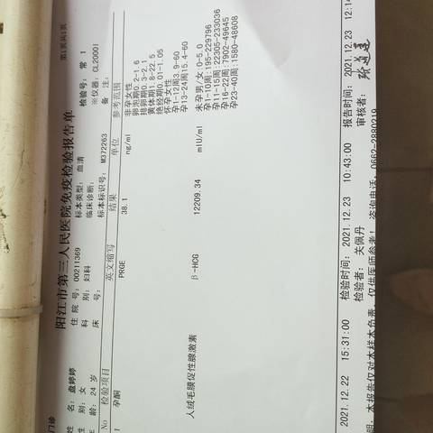 journal_insert_pic_1687468315