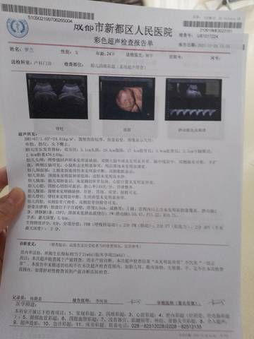 journal_insert_pic_1675020897